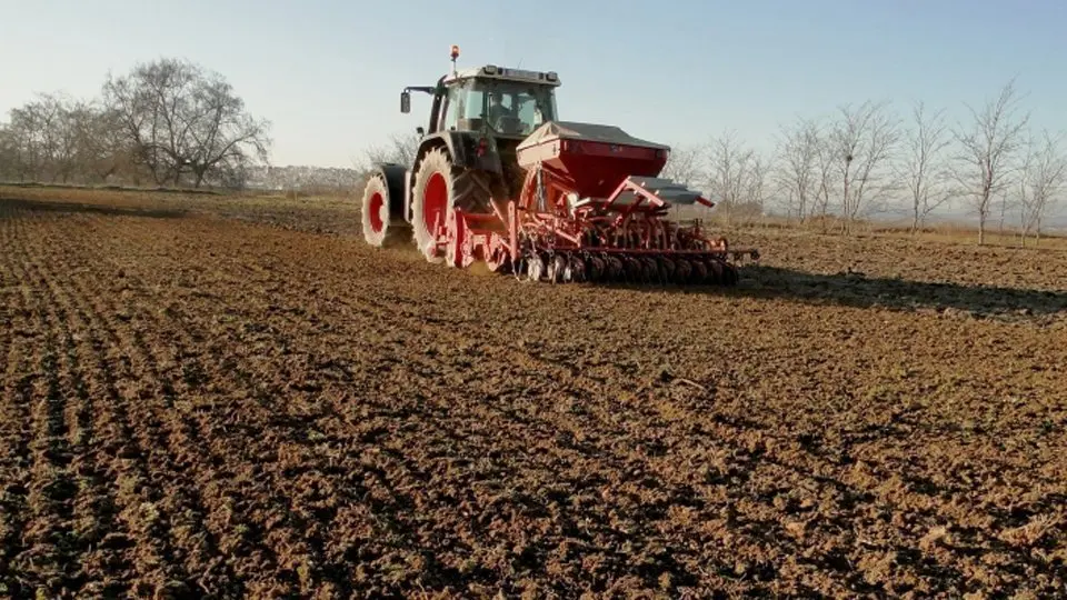 La sembra del cereal d'hivern en una finca de la Cooperativa d'Ivars