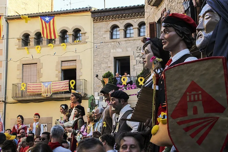 Trobada de Gegants (41)