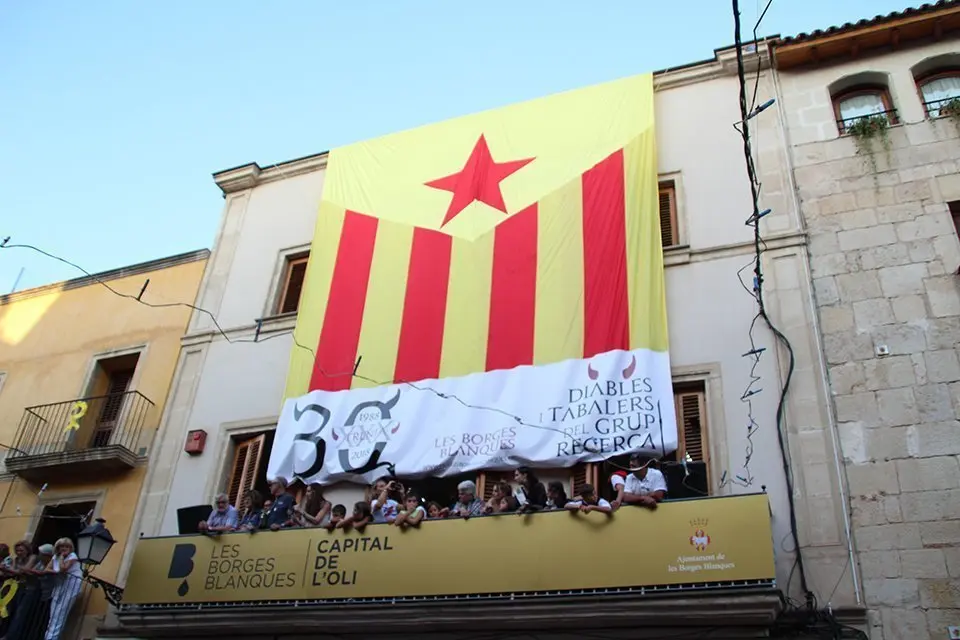 Trobada de Gegants (43)