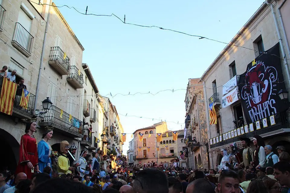 Trobada de Gegants (45)