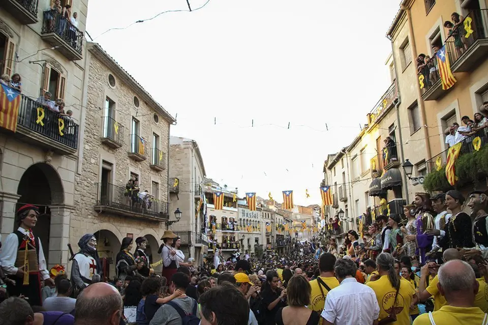 Trobada de Gegants (49)