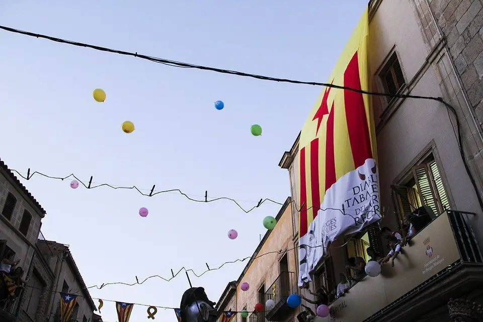 Trobada de Gegants (50)