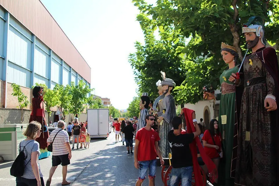 Trobada de Gegants (1)