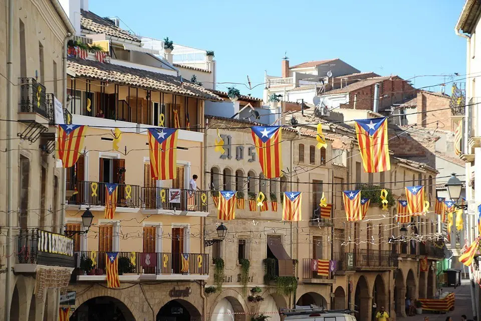 Trobada de Gegants (3)