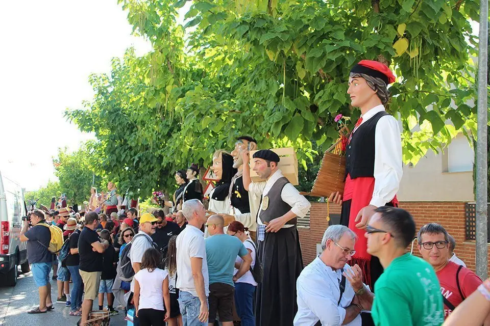 Trobada de Gegants (5)