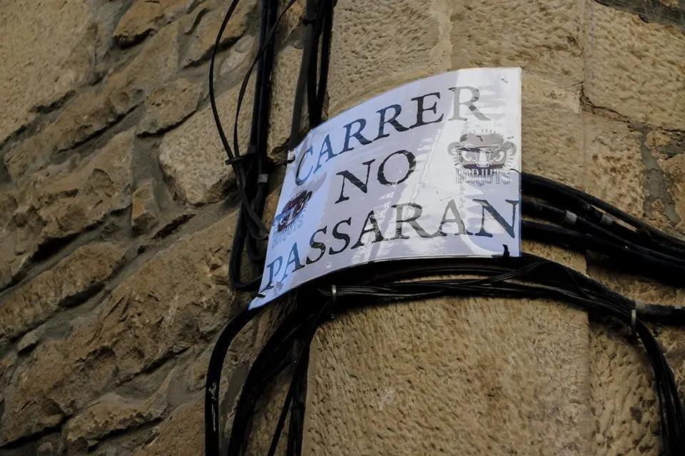 Trobada de Gegants (6)