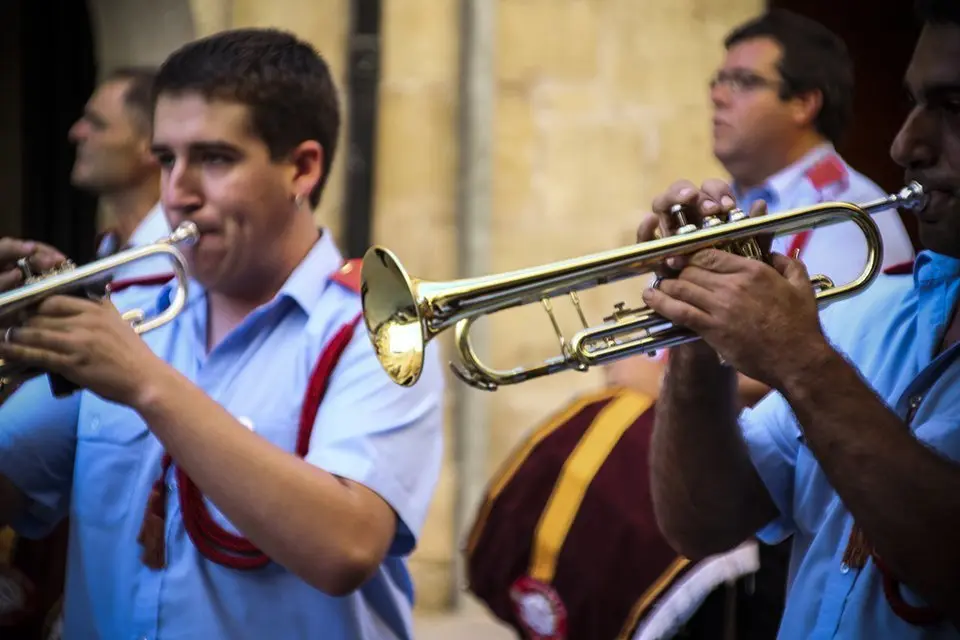 Trobada de Gegants (11)