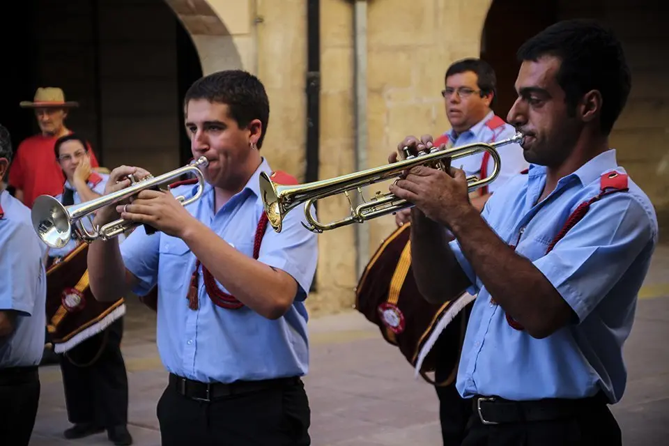 Trobada de Gegants (12)