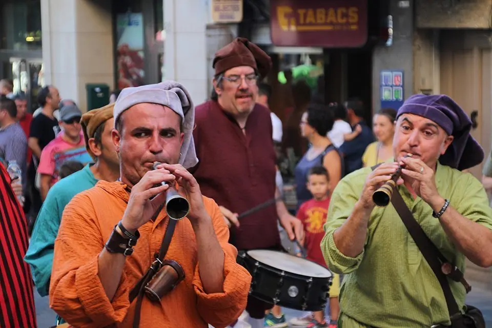 Trobada de Gegants (16)