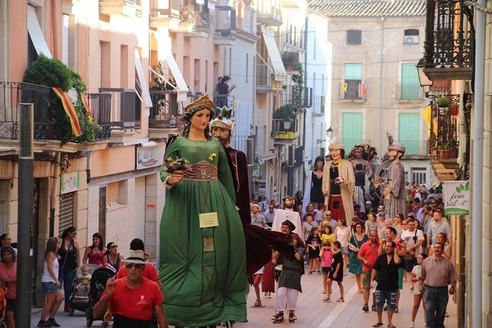 Trobada de Gegants (18)