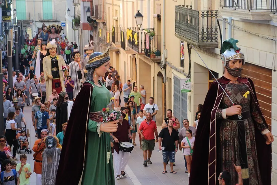 Trobada de Gegants (19)