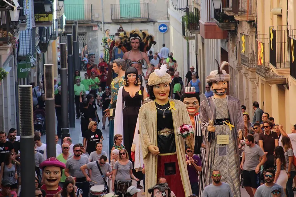 Trobada de Gegants (20)
