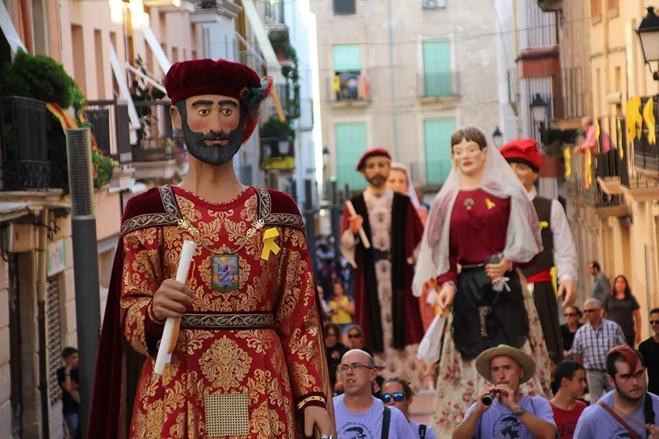 Trobada de Gegants (23)