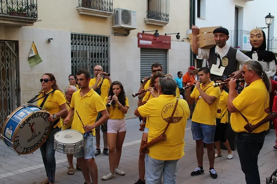 Trobada de Gegants (27)