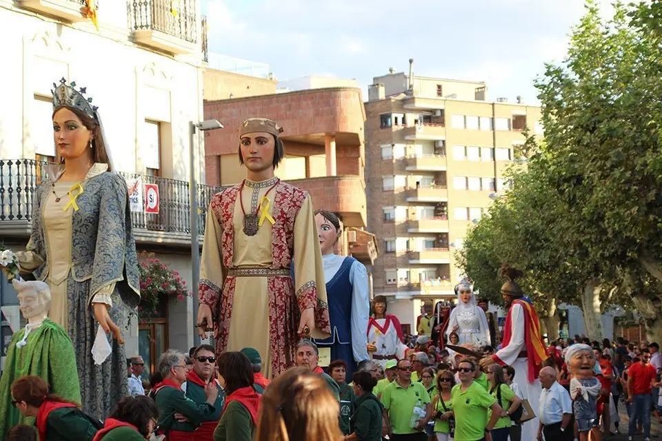 Trobada de Gegants (30)