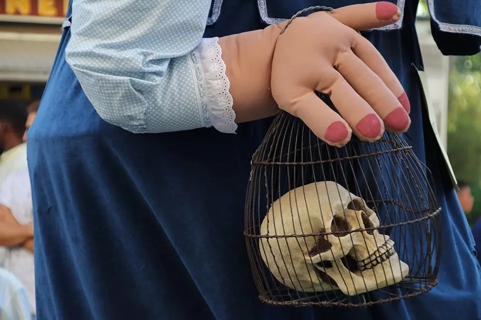 Trobada de Gegants (31)