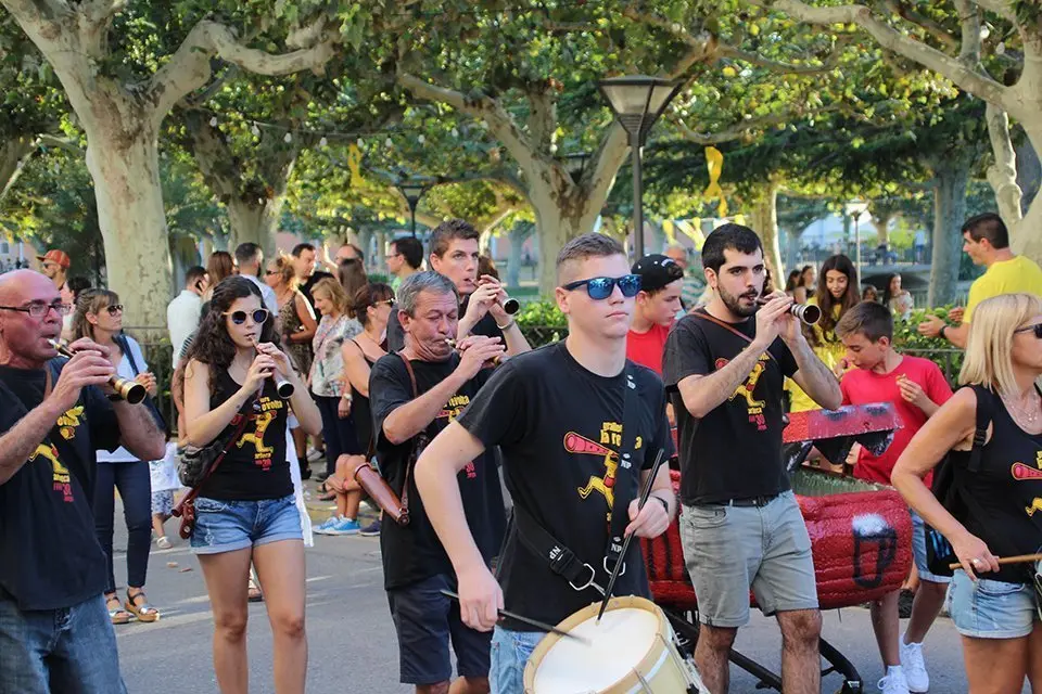 Trobada de Gegants (32)