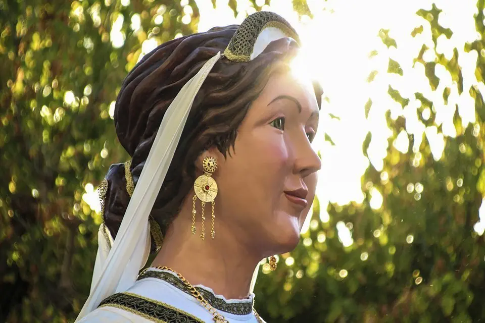 Trobada de Gegants (35)