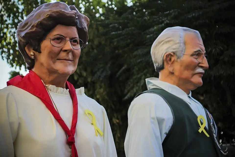 Trobada de Gegants (37)