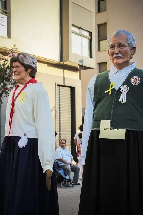 Trobada de Gegants (39)