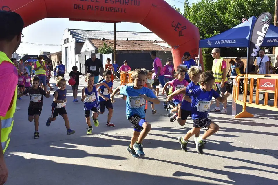 MillaUrbanaSidamon-Josep M Llovera (4)