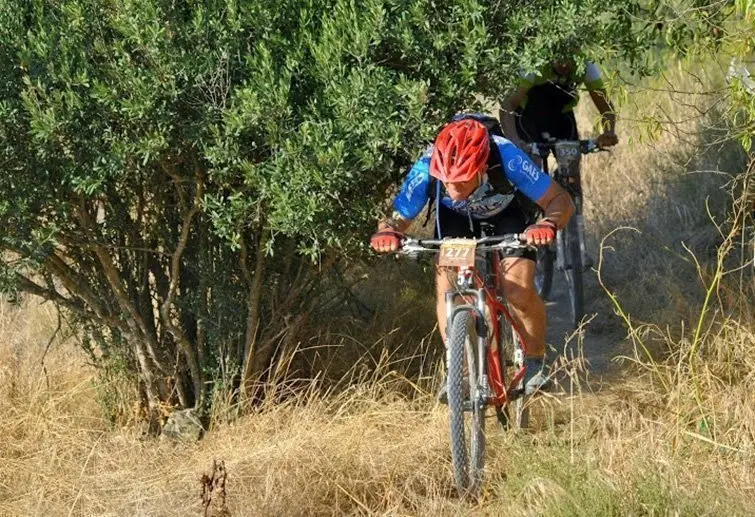 L'actractiu paisatge de la Cursa BTT Terra d'Oliveres d'Arbeca 1