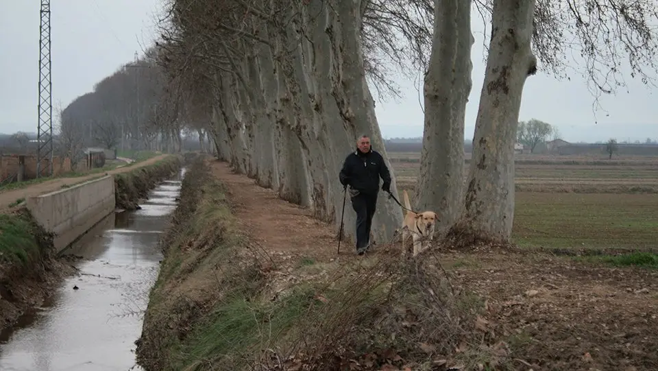 Caminant per la banqueta del Canal