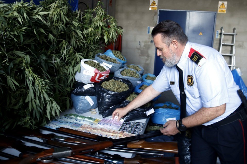 El cap de la unitat d&#39;investigació de l&#39;ABP Segrià, Garrigues i Pla d&#39;Urgell, amb la marihuana, diners i escopetes, comissats