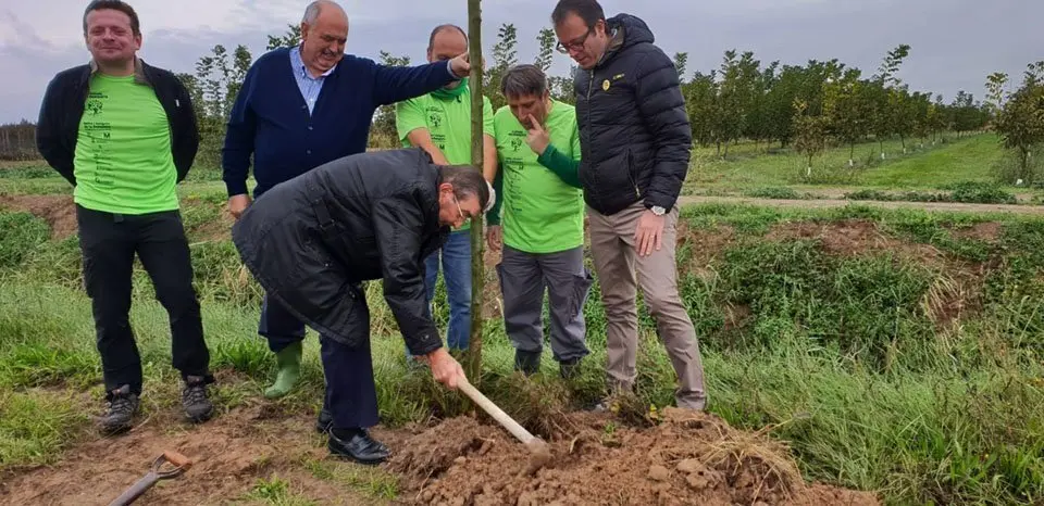 Ramon Carné va plantar un dels plataners a la banqueta