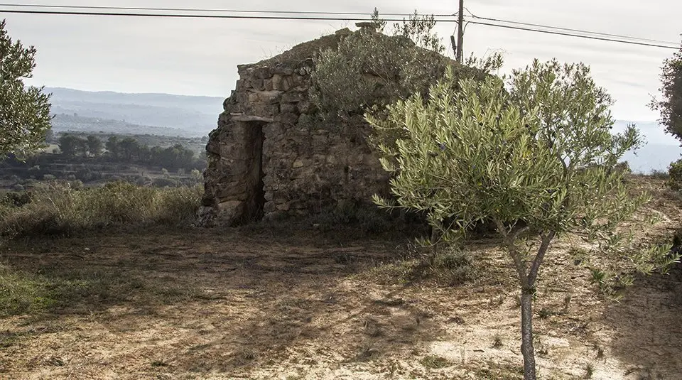 Cabana de pedra seca a les Garrigues