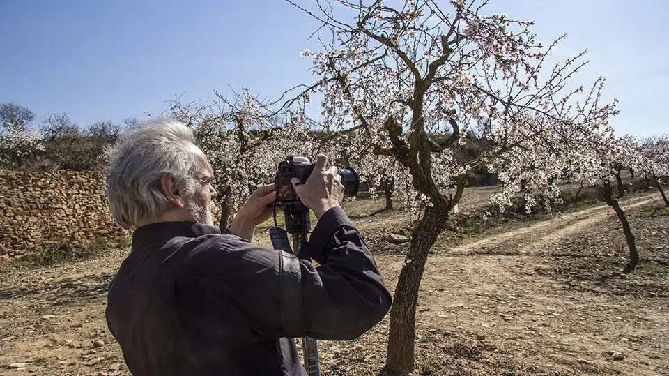 Sebastià Caus en la fica d'ametllers que inspira la seva obra