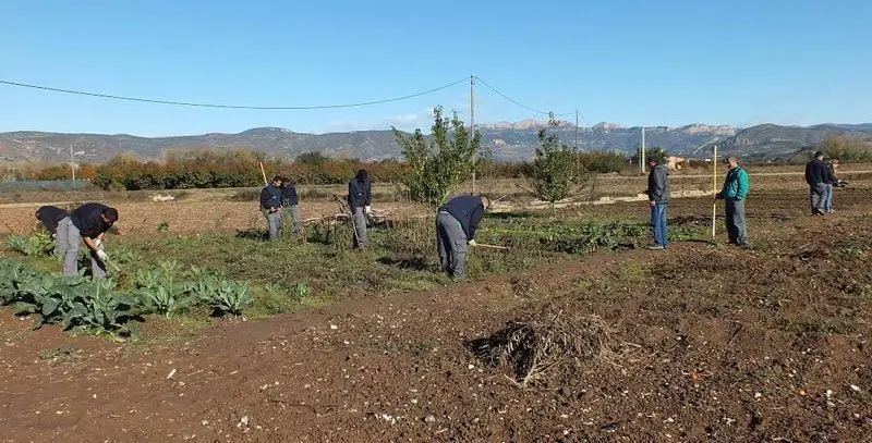 Imatge d'edicions anteriors del projecte Cultiva't Horts Comunitaris