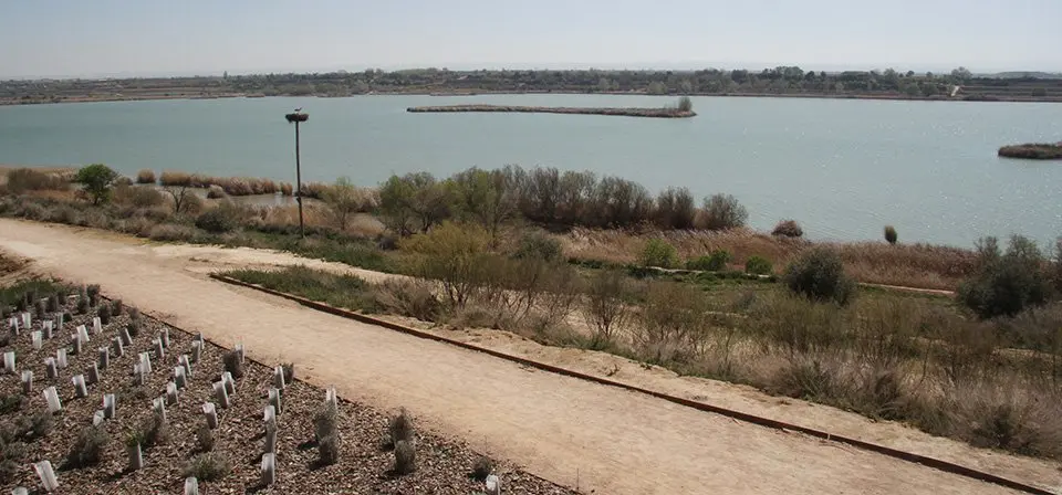 Imatge de l'Estany d'Ivars i Vila-sana