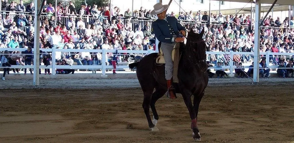 Espectacle eqüestre. EquiMollerussa 2019