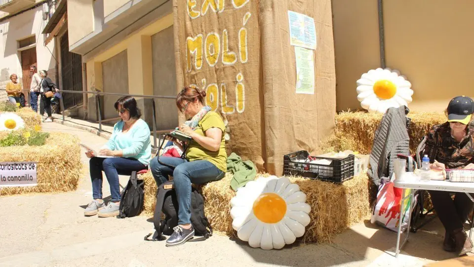 Urban Sketchers de Lleida a la Fira de la Camamilla de Linyola - Joana García