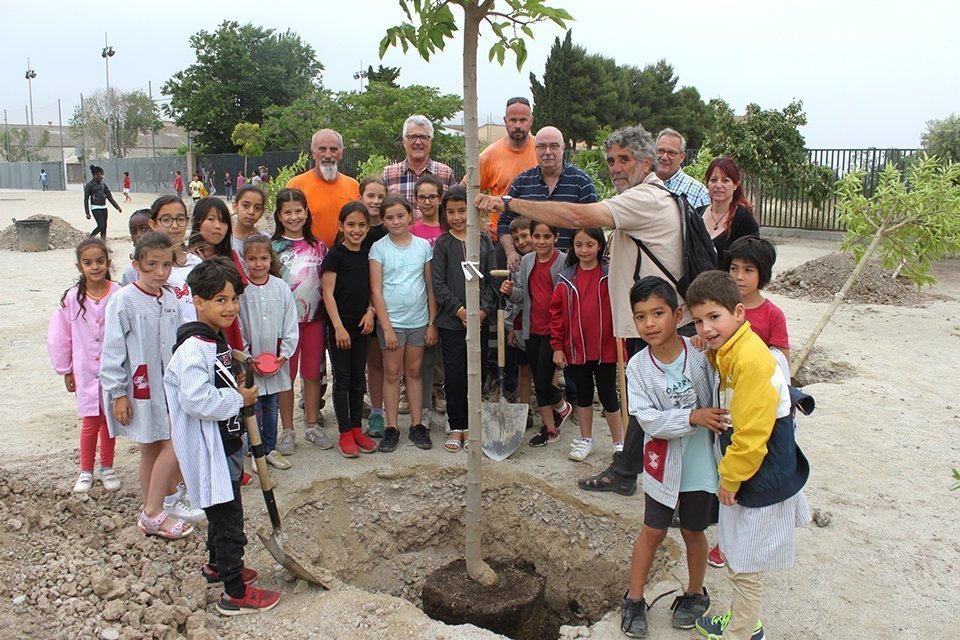 Alguns dels infants que han participat avui a la plantada d'arbres a TÓrrega