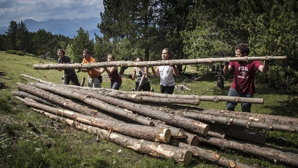 Activitats del projecte Boscos de Muntanya