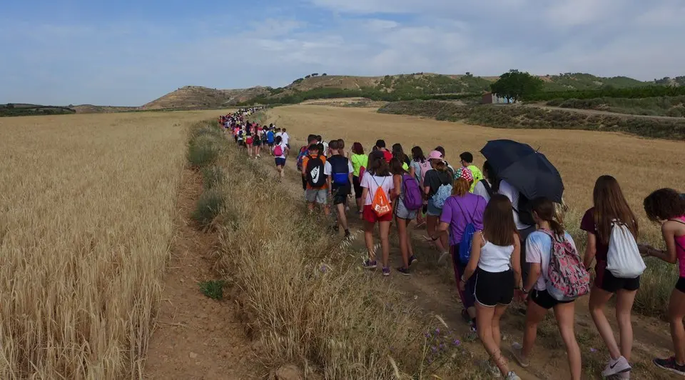 Més de 400 participant en la Maexa Solidari i Sostenible