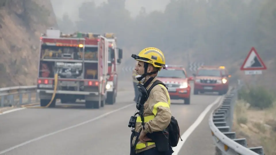 Un bomber observa l&#39;incendi de Maials