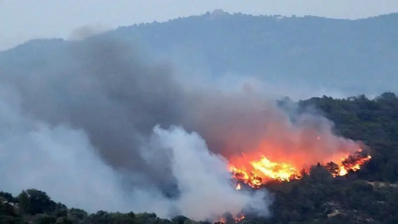 L'incendi de la Ribera d'Ebre