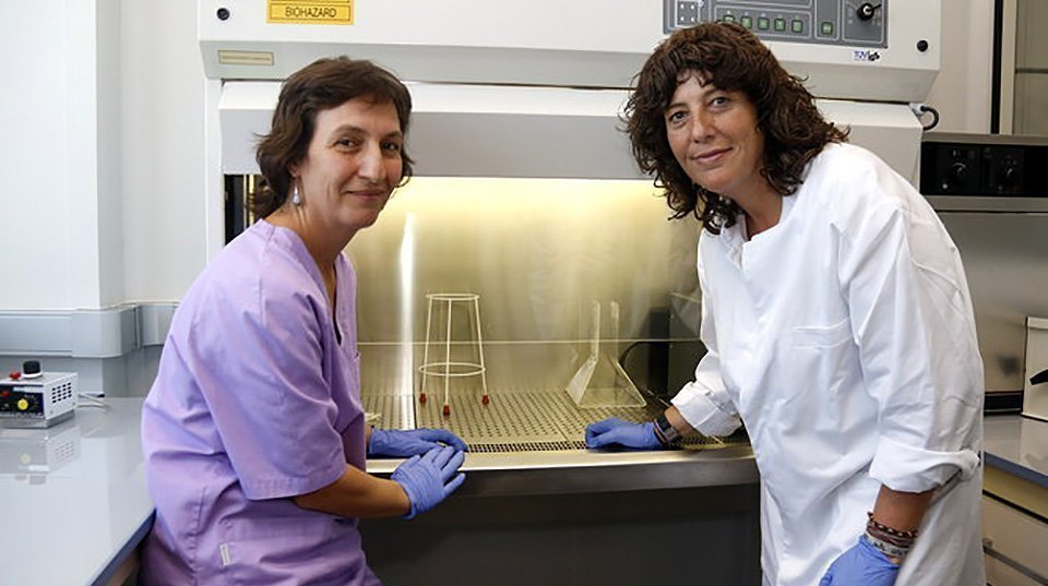Teresa Jordà, visita la nova sala de bioseguretat del laboratori de sanitat animal i vegetal de Catalunya.