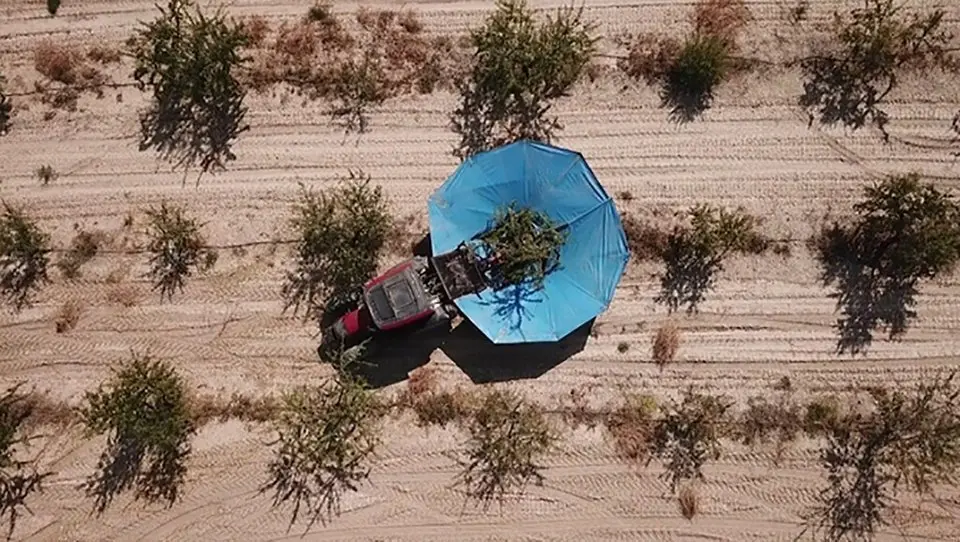 Una de les obres de l&#39;exposició &#39;Els artistes van amb tractor&#39;, de la fotògrafa borgenca Sara Boldú