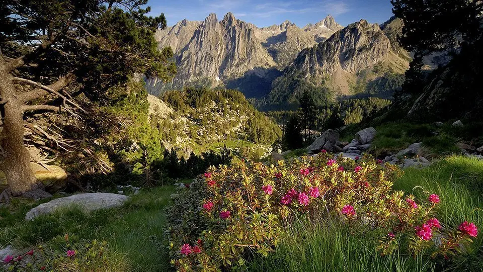 El Parc Nacional d'Aigüestortes i Estany de Sant Maurici, un dels bucs insígnia del turisme lleidatà ©Territoris.cat