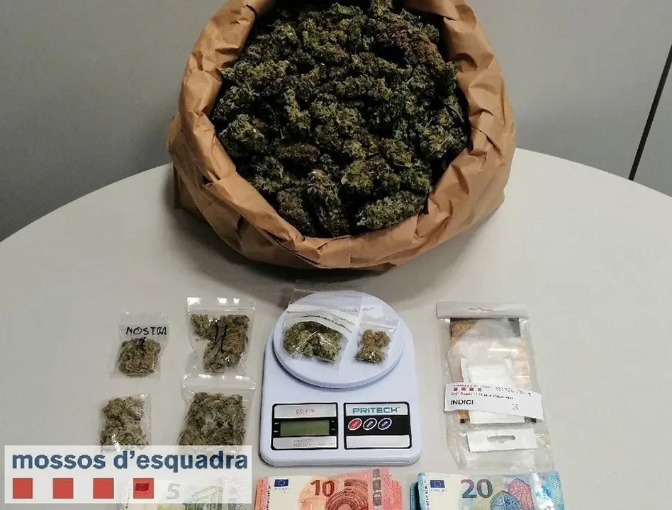 El material decomissat pels Mossos d'Esquadra a Lleida interior