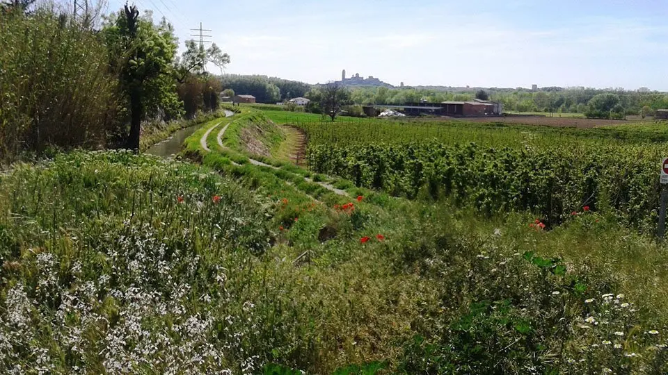 Imatge de l'Horta de Lleida