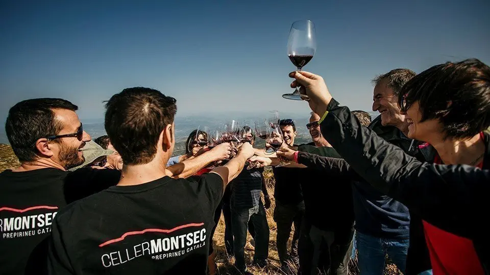 Vi Mirapallars - Celler Montsec