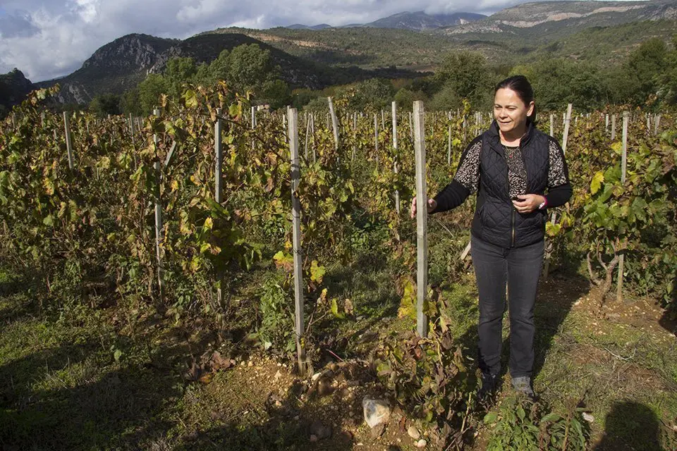 L&#39;enòloga i viticultora Judit Sogas