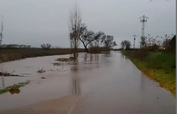 Efecte del desbordament del riu Ondara al Pla d'Urgell