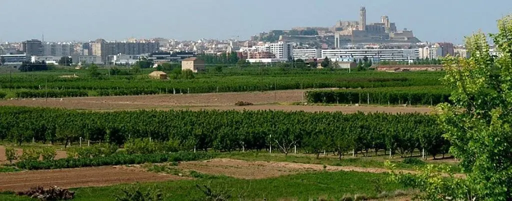 Imatge de l'horta de Lleida