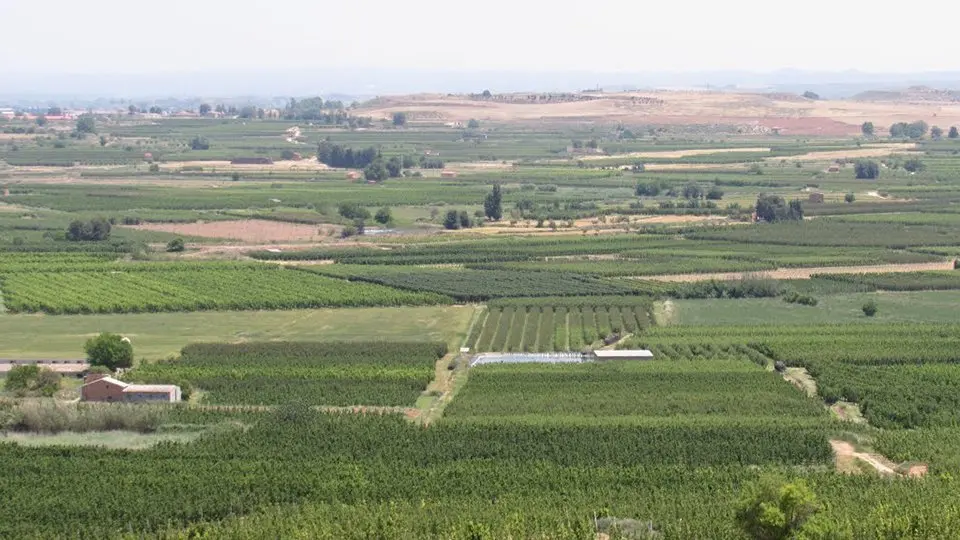 El sector agrícola, un dels més sacsejats per la situació actual